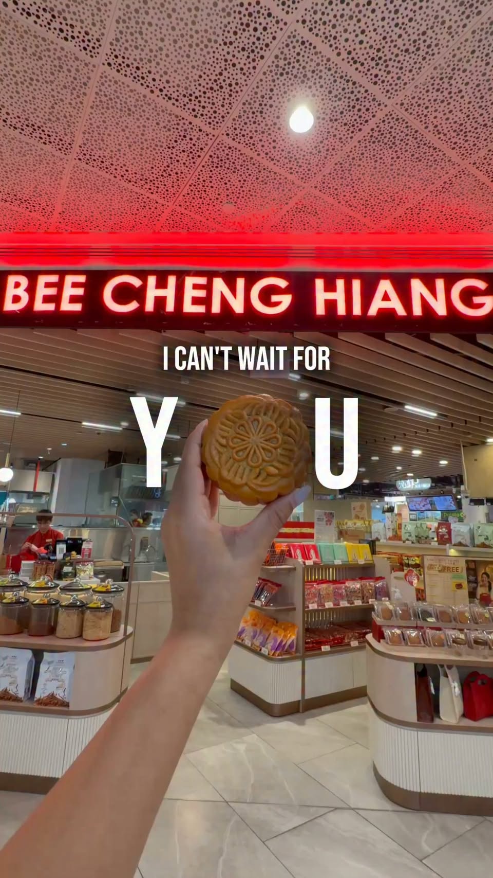 Mooncake haul from Bee Cheng Hiang, Swensen's and BreadTalk at AMK Hub